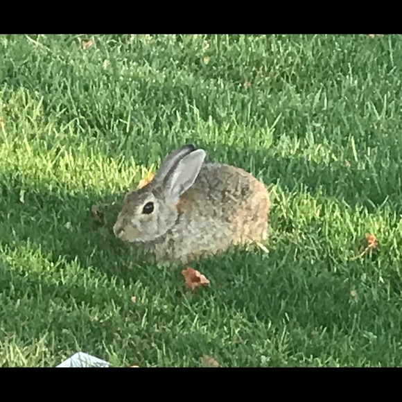 Meet your Posher - Picture 2 of 2